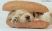 pes v chlebu
